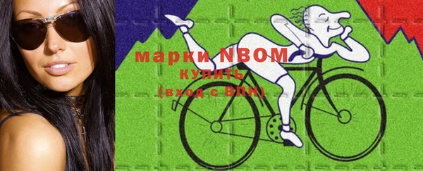 индика Алексеевка