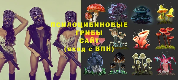 индика Алексеевка