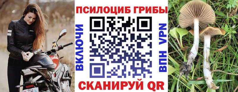 Галлюциногенные грибы MAGIC MUSHROOMS  Углич 